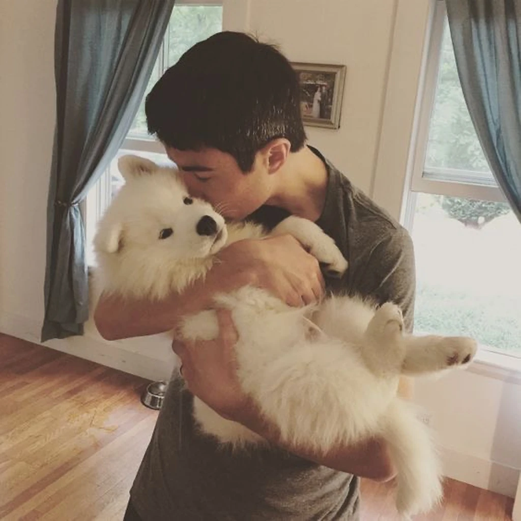 Cachorro Samoyedo Thor con su familia en Bogotá