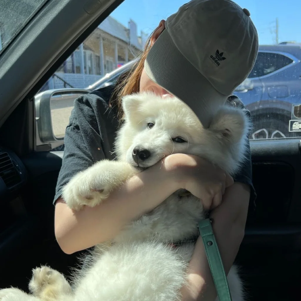 Cliente de Pereira con su cachorro Samoyedo Yuki